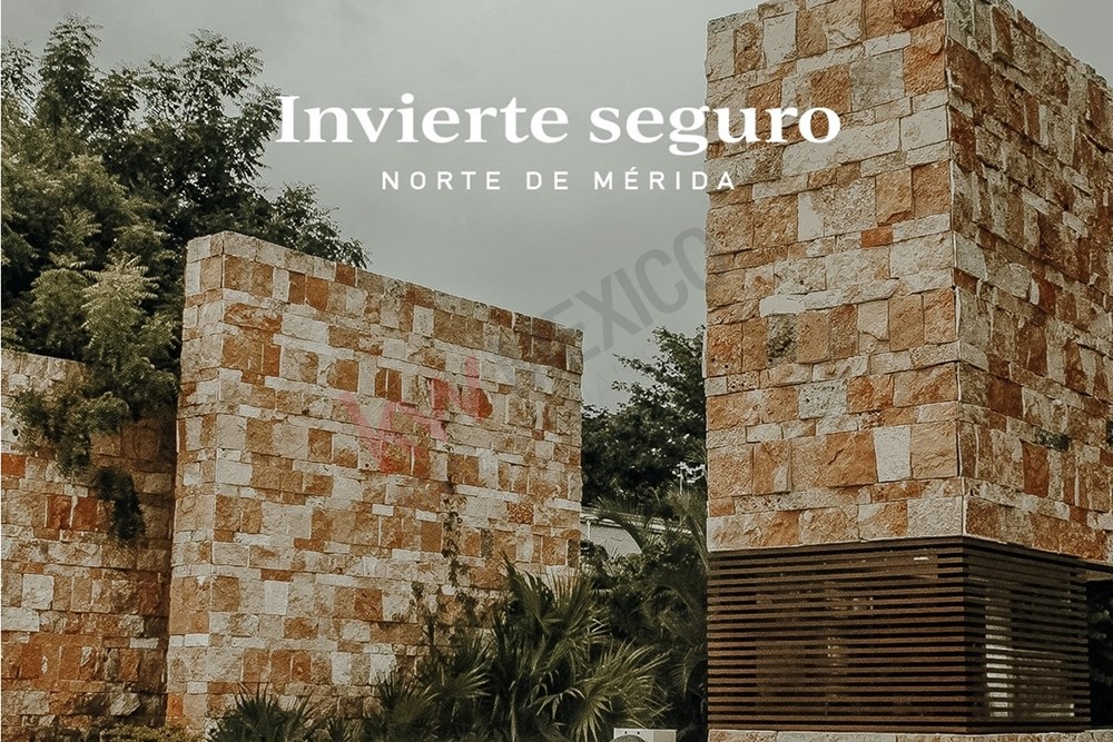 Imagen 4 de 5