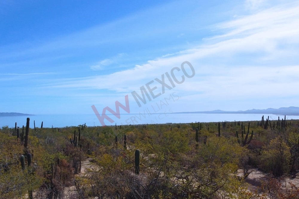 Imagen 4 de 5