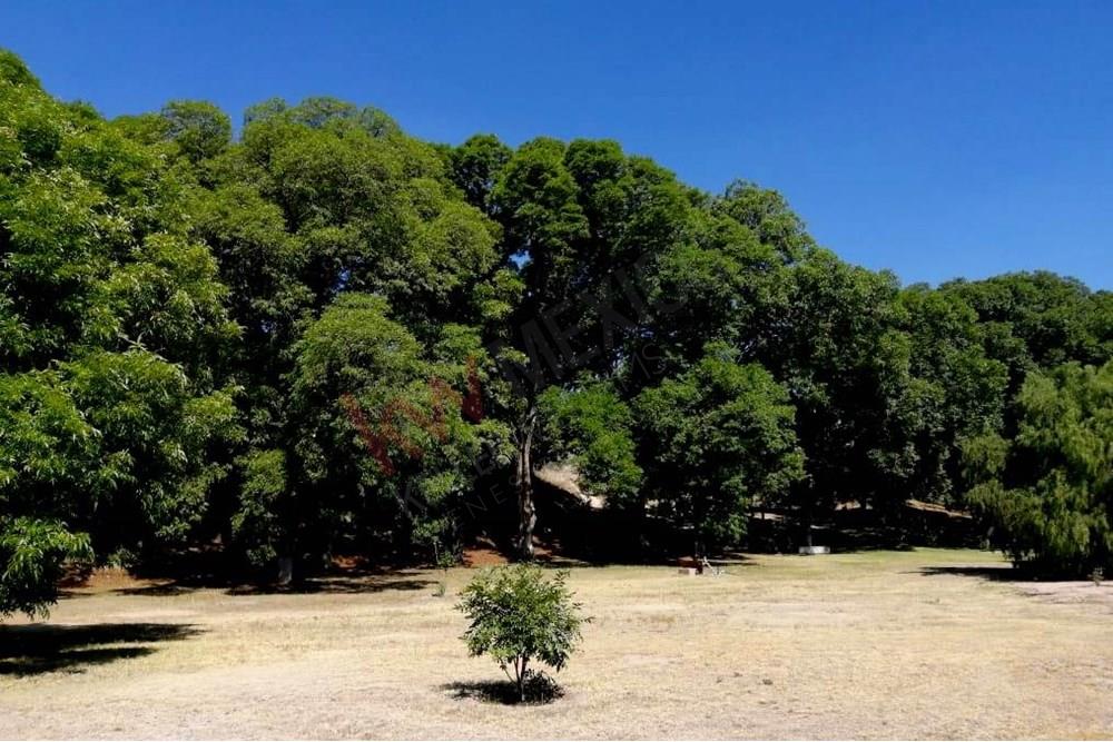 El Espejo de Alas Residential: A picturesque location nestled next to the San Damián River.