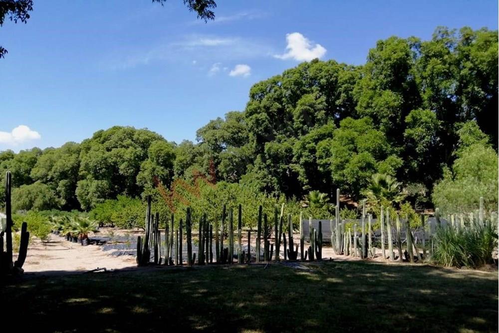 El Espejo de Alas Residential: A picturesque location nestled next to the San Damián River.