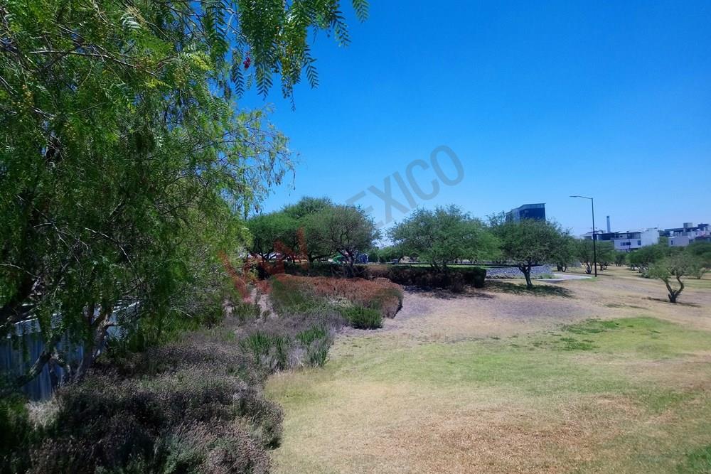 Imagen 4 de 5