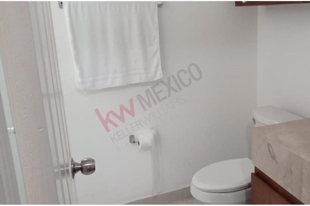 Imagen 4 de 5