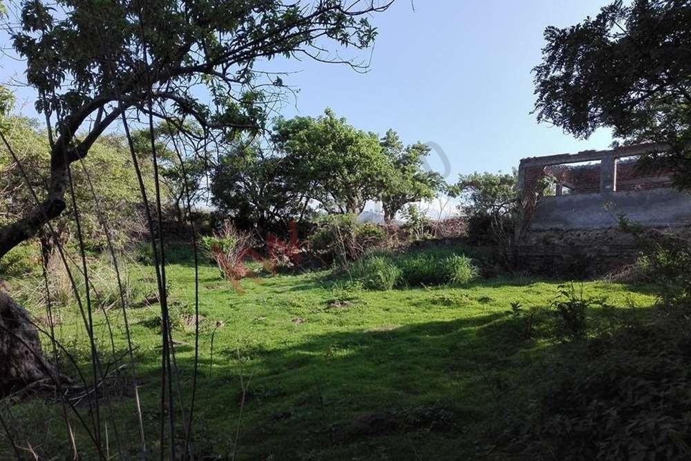 Terreno en venta en Colonia del Carmen, Tepoztlán