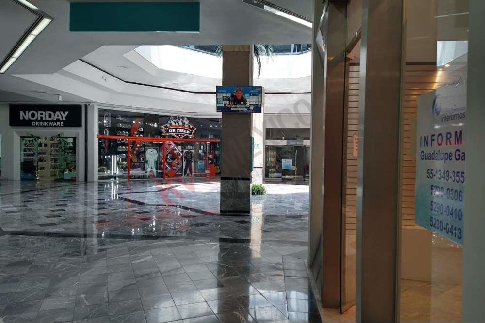 Imagen 4 de 5
