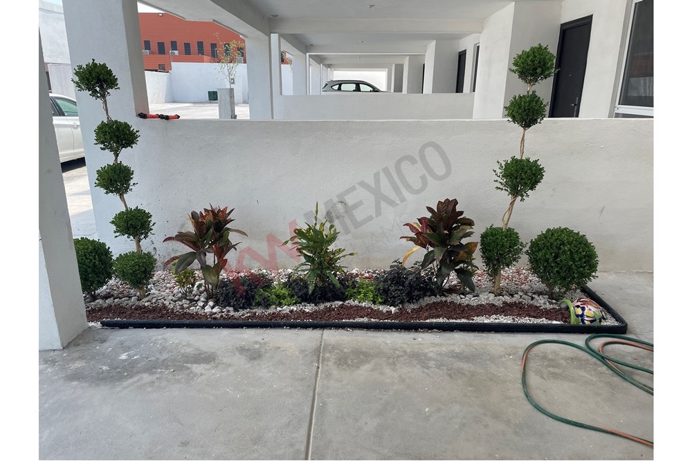 Imagen 5 de 5