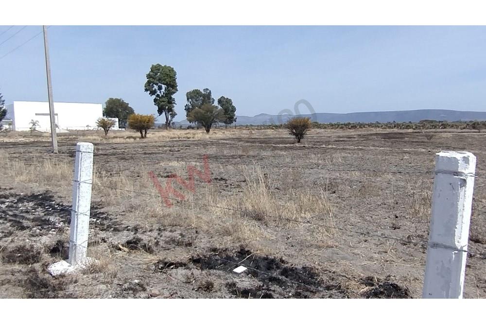 TERRENO EN VENTA PARA USO COMERCIAL A PIE DE CARRETERA EN SAN LUIS DE LA PAZ, GUANAJUATO