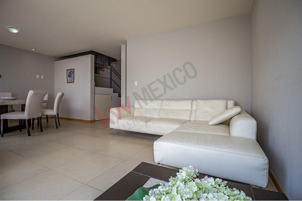 Imagen 3 de 5
