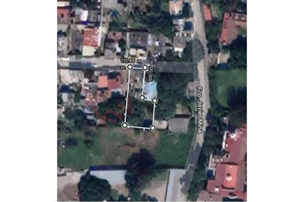 Imagen 2 de 3