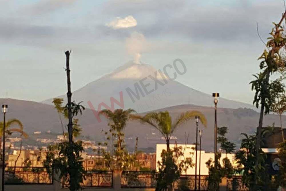 Imagen 5 de 5