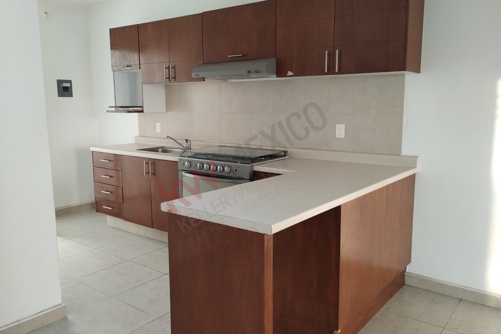 Imagen 3 de 5