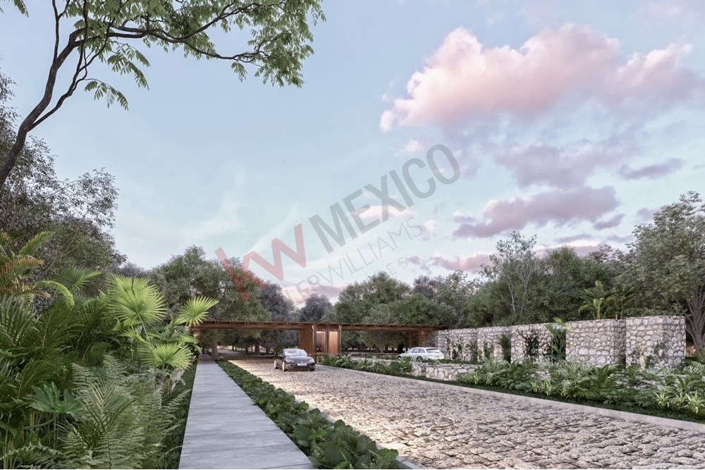 Imagen 4 de 5