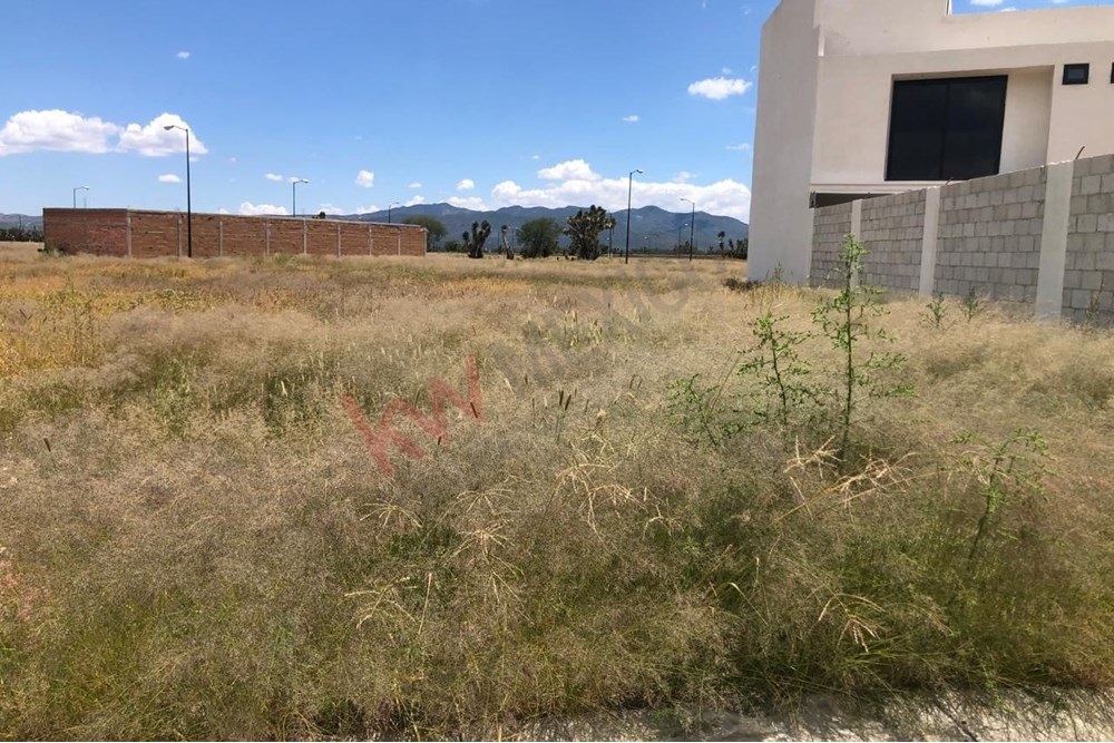 Imagen 4 de 5
