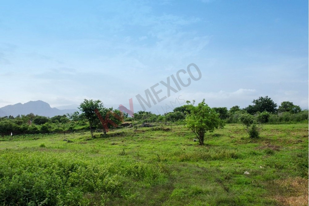 Imagen 2 de 5
