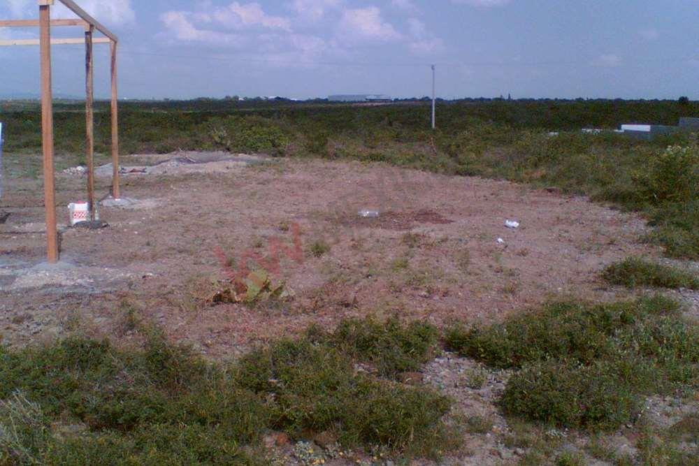 Imagen 4 de 5