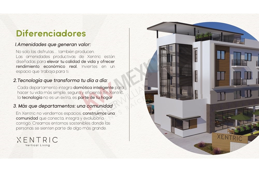 Imagen 5 de 5