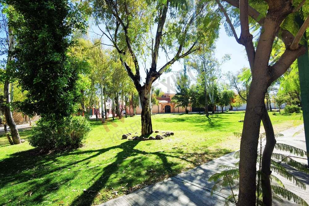 Imagen 4 de 5
