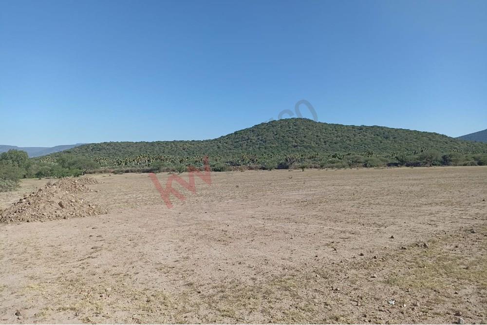 2 Hectáreas totalmente planas a 800 m de carretera de asfalto y a 22 Km del Aeropuerto de QRO