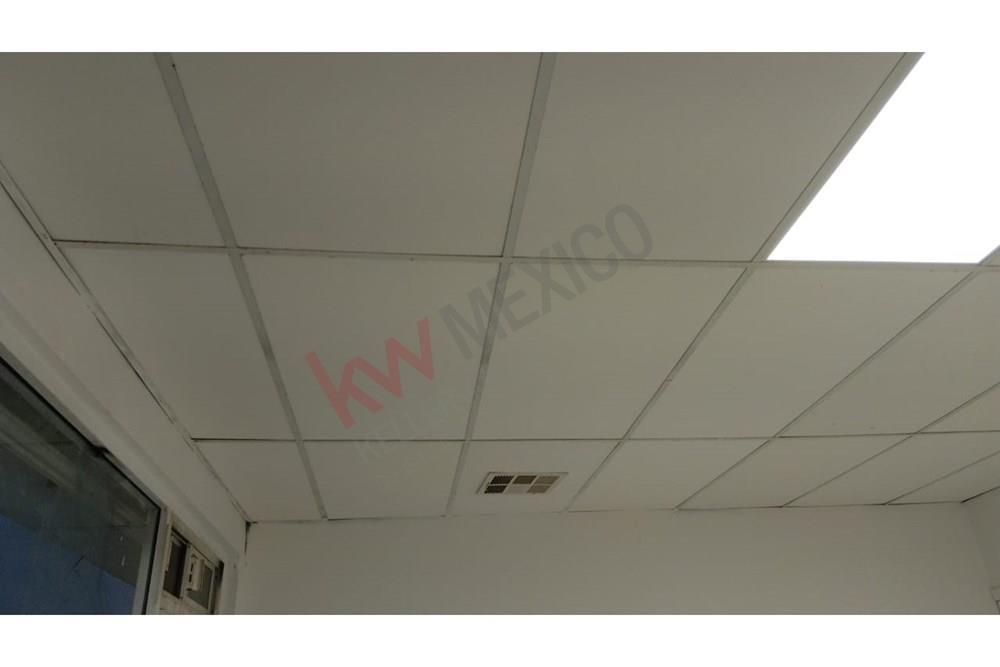 Imagen 4 de 4
