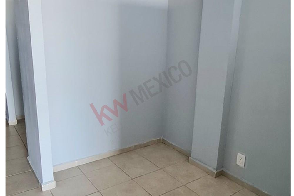 Imagen 5 de 5