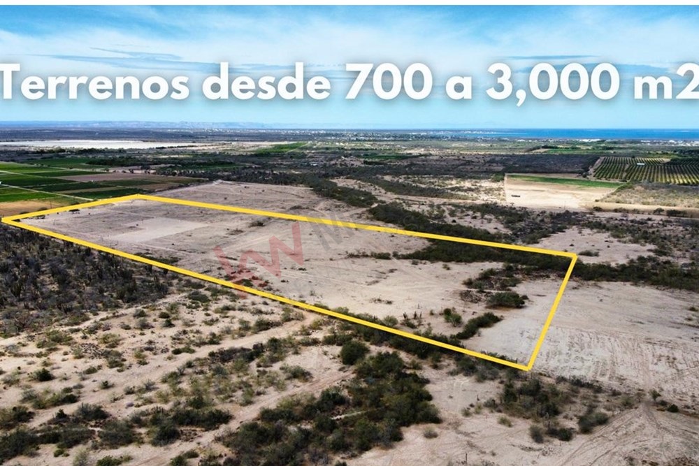 Imagen 3 de 5