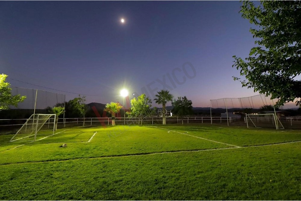 Imagen 5 de 5