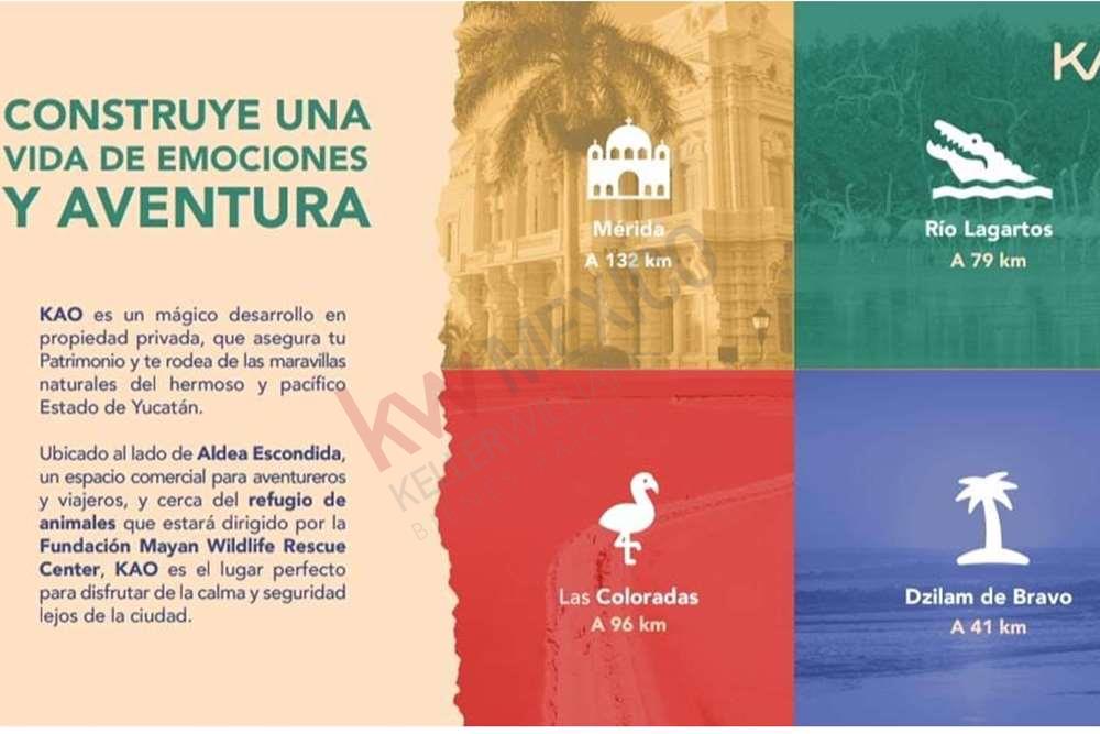 Terrenos en Yucatán, KAO desde 300m2, Rodeado de playas, reservas naturales, Cenotes y espacios libres, para un estilo de vida relajado y aventurero.