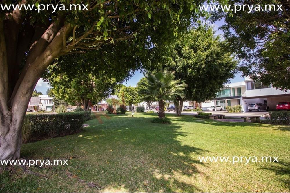 Imagen 4 de 5