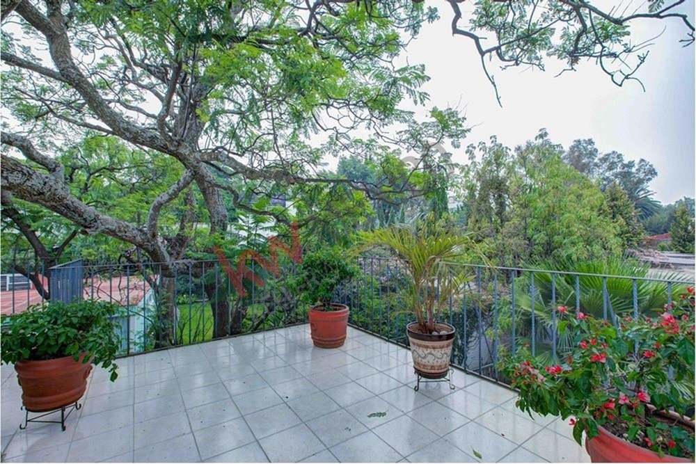 property image 80