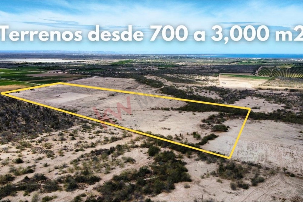 Imagen 4 de 5