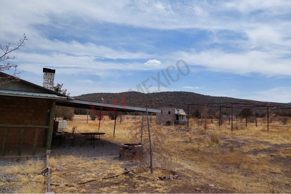 Imagen 3 de 5