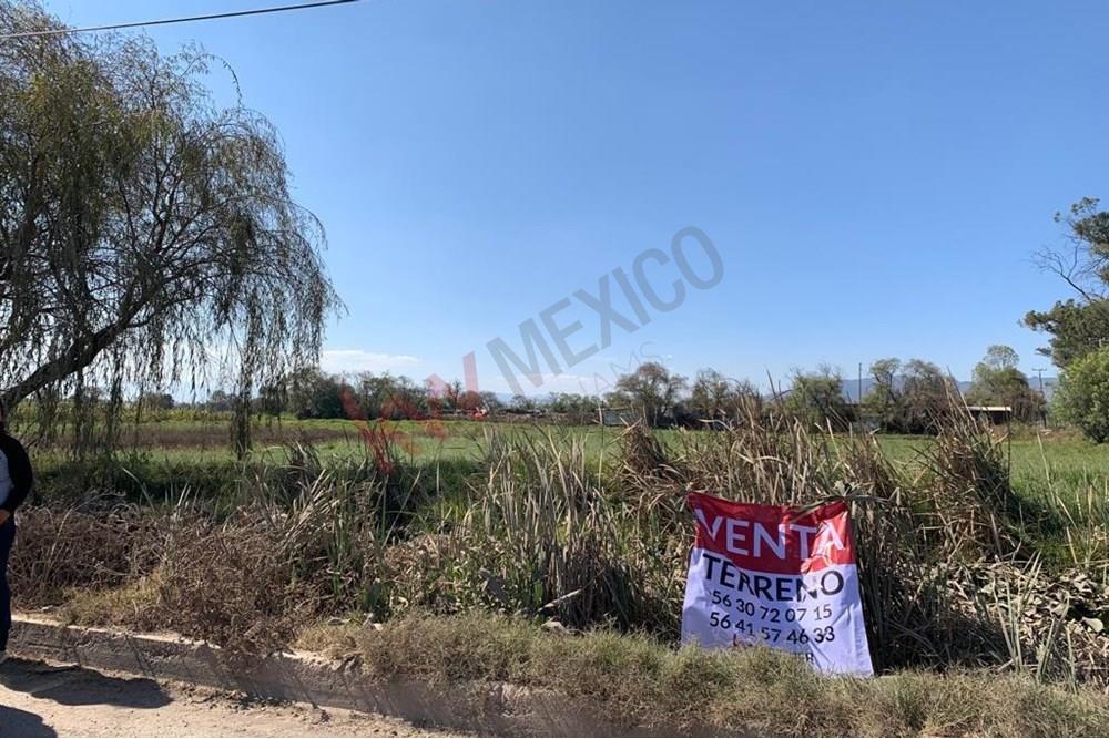 Imagen 3 de 5