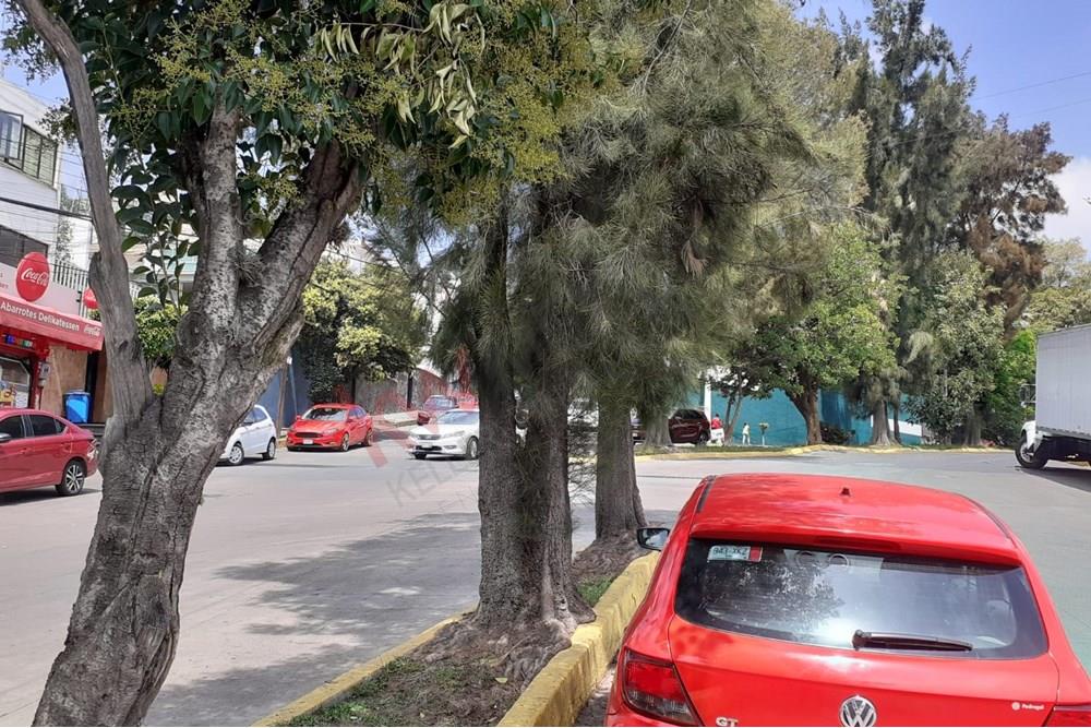 Imagen 3 de 5