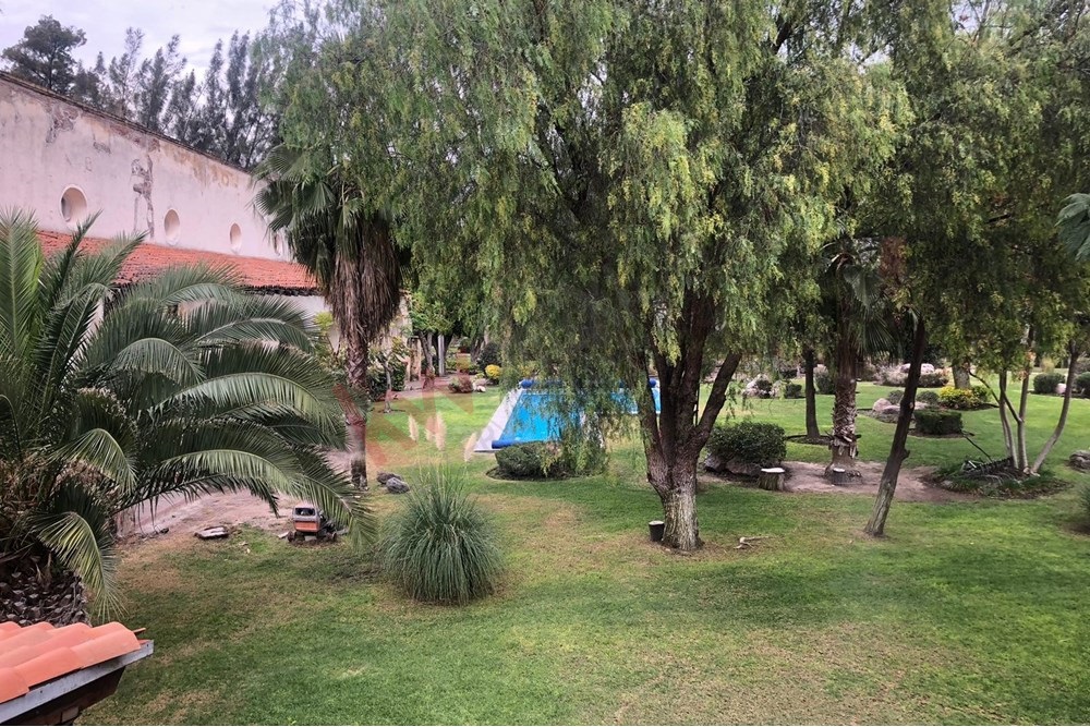 Imagen 4 de 5