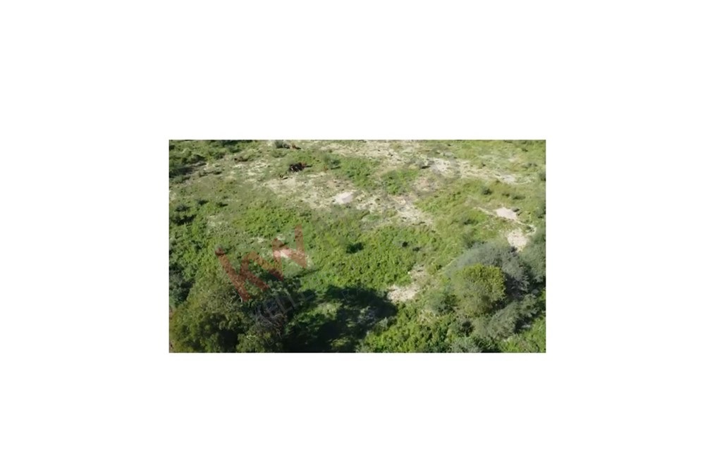 Imagen 4 de 5
