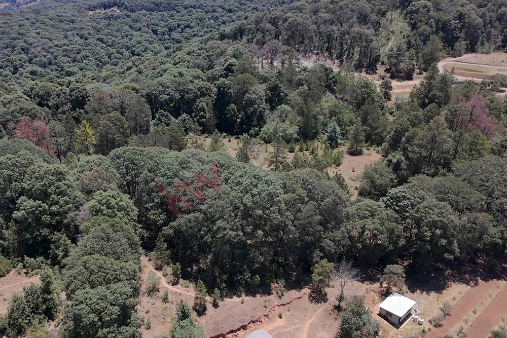 Invierte en Terreno en La Cruz Omitlán IDEAL PARA CABAÑAS