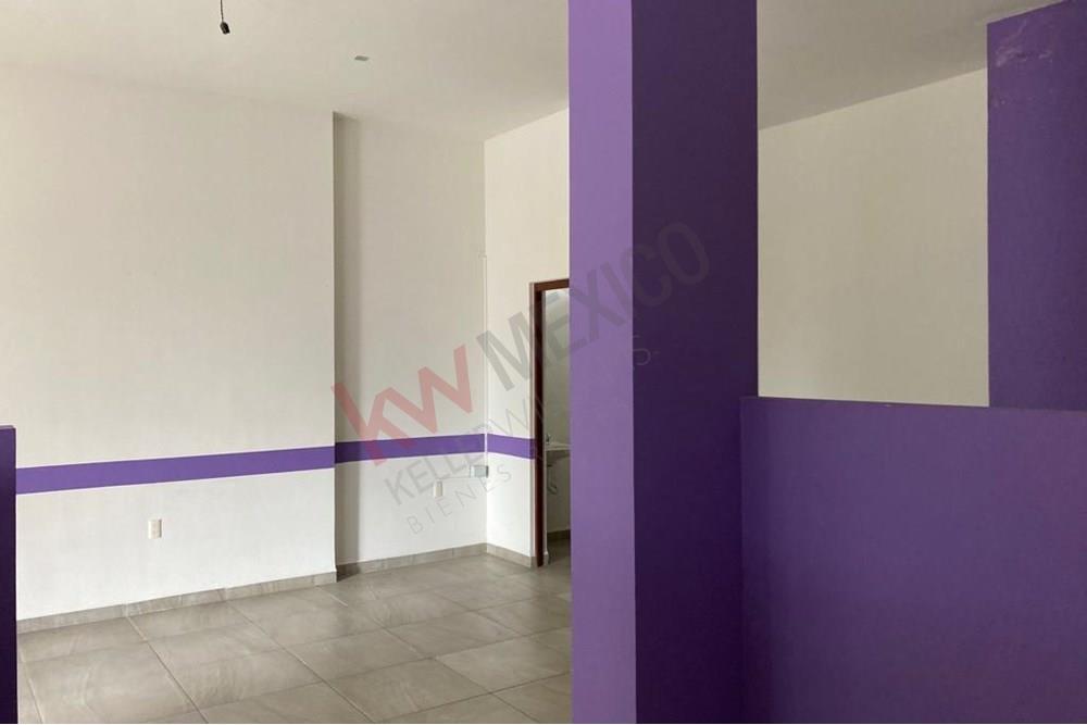 Imagen 5 de 5