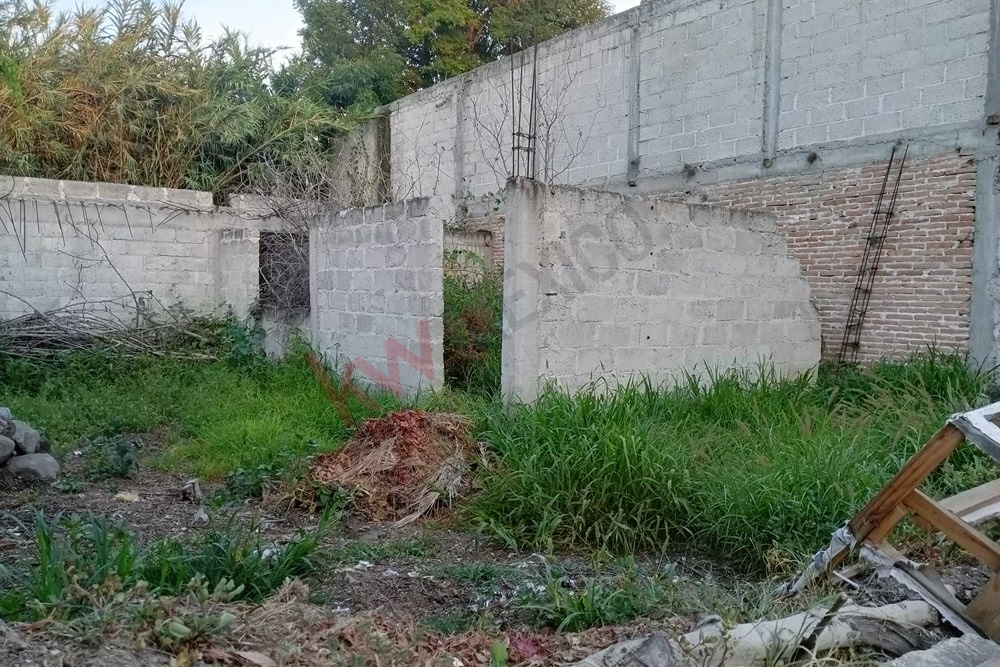 Imagen 3 de 5