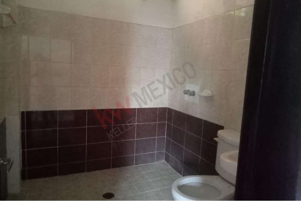 Imagen 3 de 5