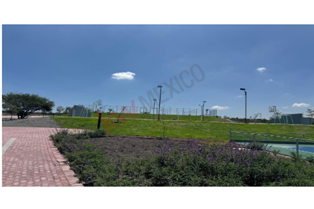 Imagen 3 de 5