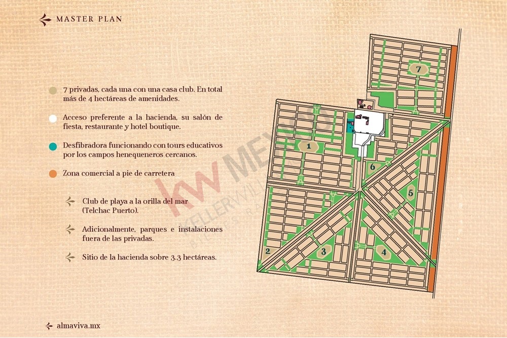 Imagen 4 de 5
