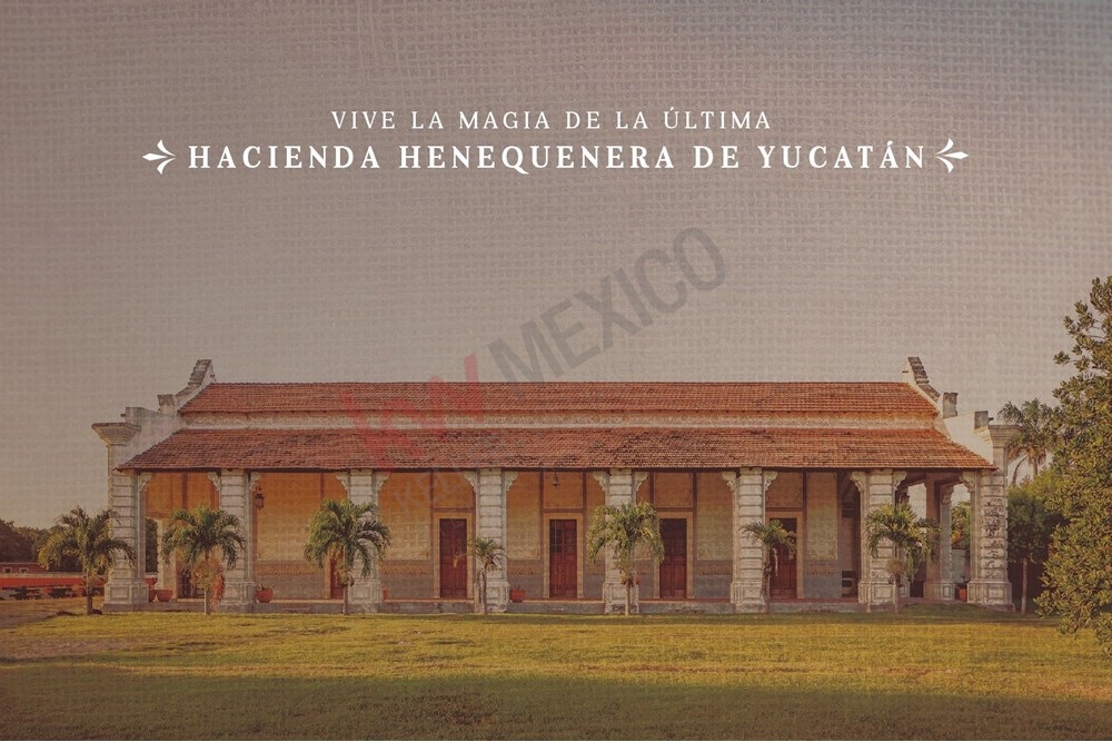 Imagen 2 de 5