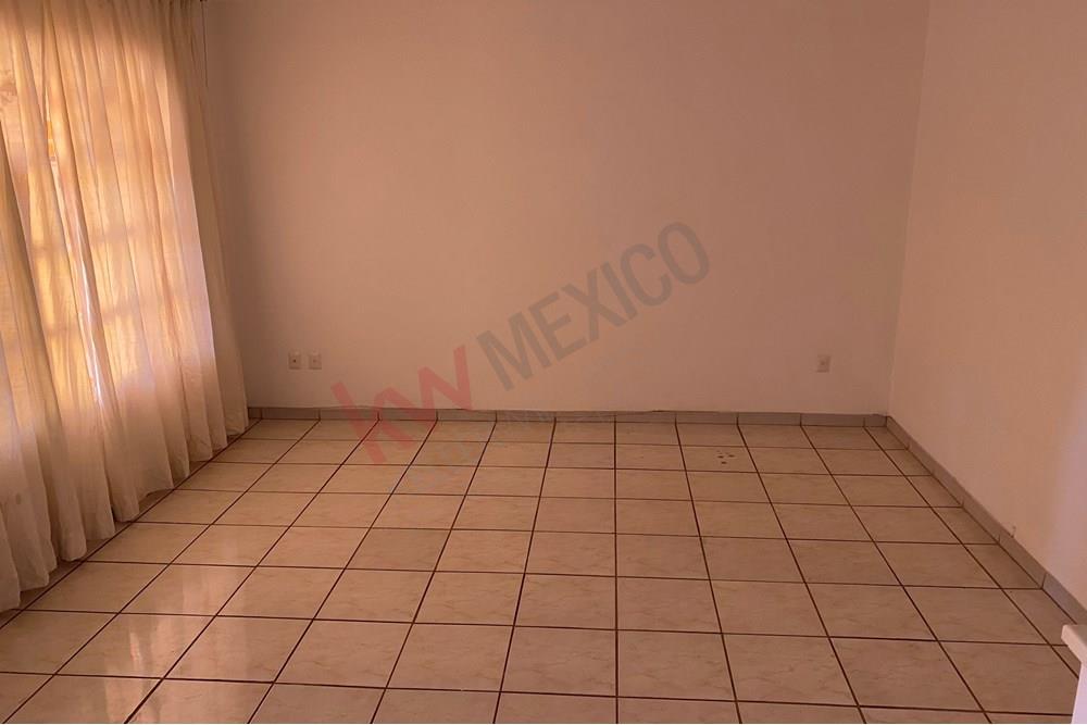 Imagen 3 de 5
