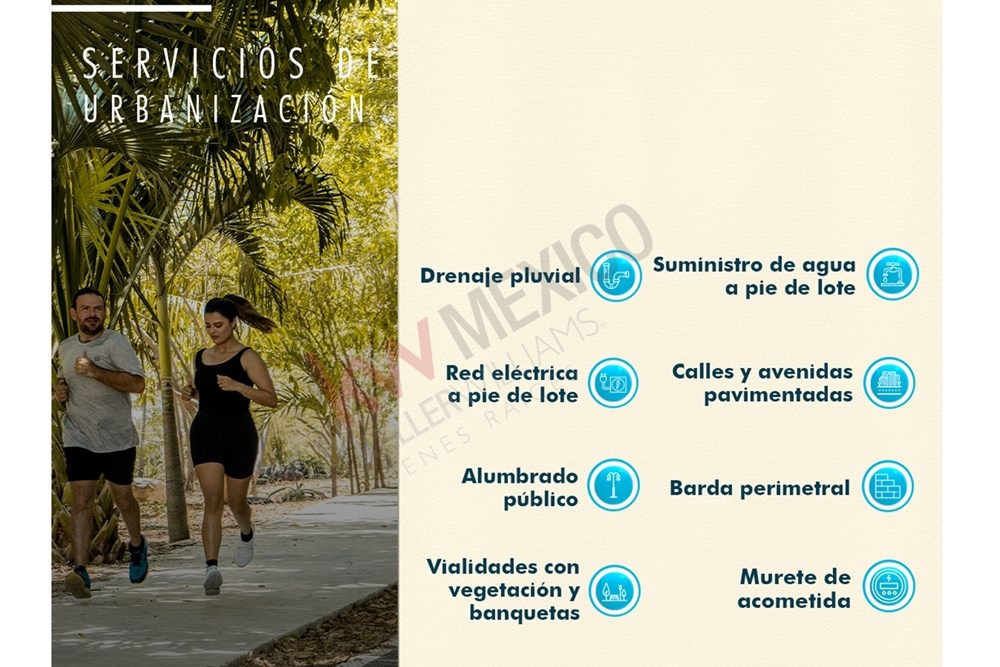 Imagen 3 de 5