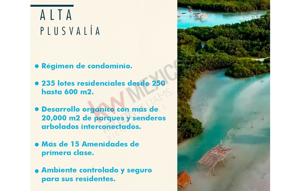 Imagen 5 de 5