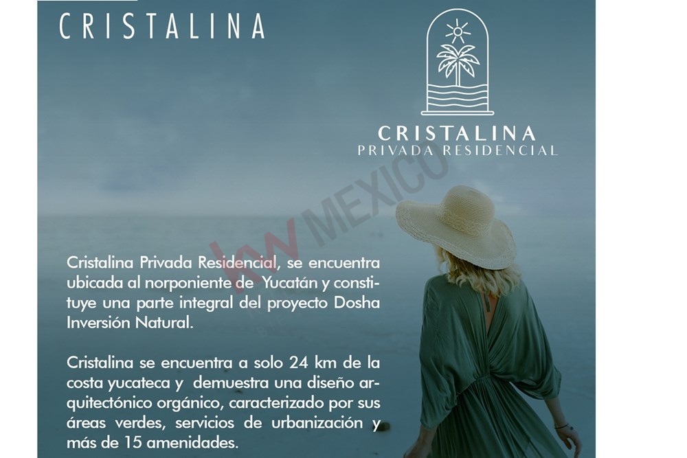 Imagen 2 de 5