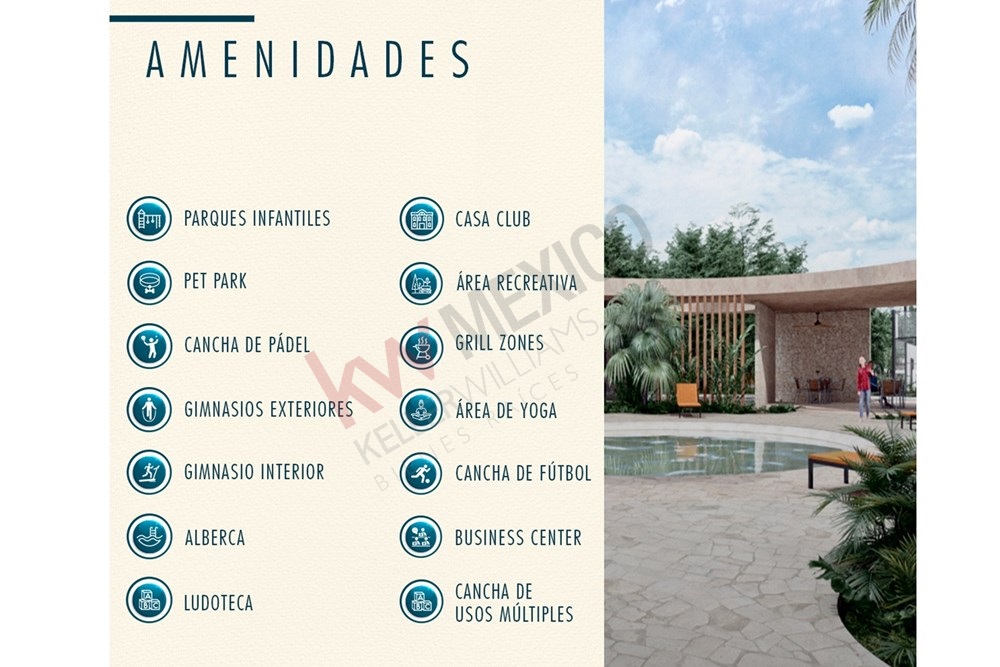Imagen 4 de 5