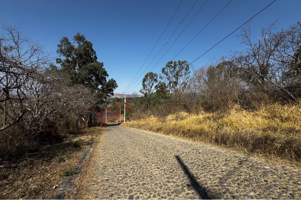 Imagen 4 de 5