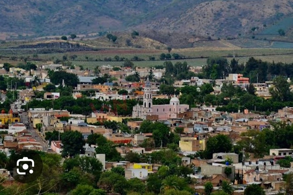 Imagen 3 de 5