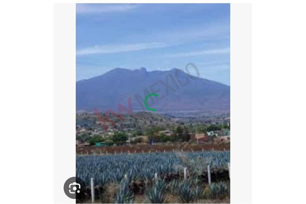 Imagen 4 de 5