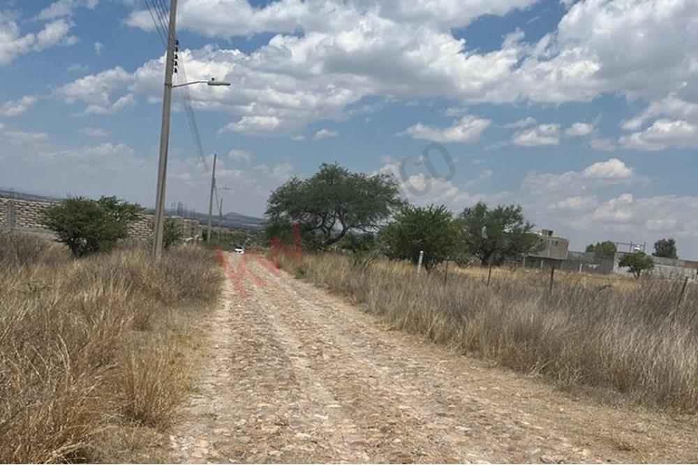 Imagen 3 de 5